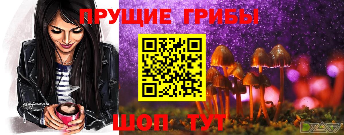Псилоцибиновые грибы Magic Shrooms  Псилоцибиновые грибы MAGIC MUSHROOMS  Ивантеевка  Вход с VPN 